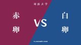 『赤卵』と『白卵』の違い・共通点を表付でわかりやすく比較 『赤卵』と『白卵』の違い・共通点を表付でわかりやすく比較